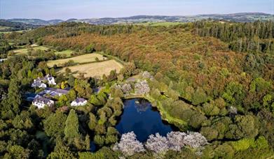 Golygfa aeriel o'r llyn pysgota