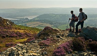 Walking on Conwy Mountain, looking towards the town of Conwy