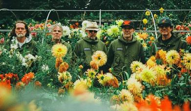 Super Furry Animals