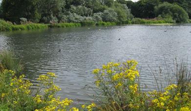 Pentre Mawr Park