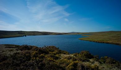 Llyn Aled and Hiraethog Moors