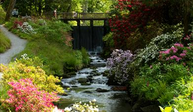 Pont y Rhaeadr, The Dell, Gardd Bodnant