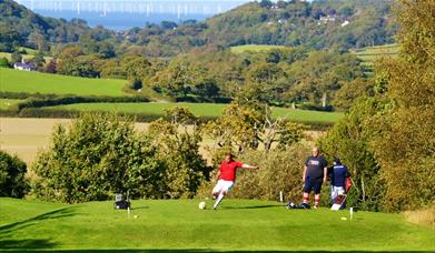 Silver Birch footgolf