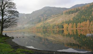 Crafnant Trout Fishery