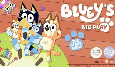 Bluey's Big Play