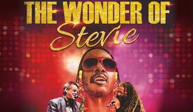 The Wonder of Stevie
