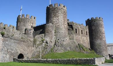 Curious About Conwy