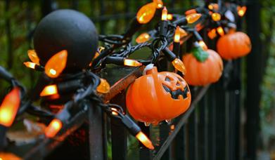 Black iron fence with orange pumpkin lights wrapped around