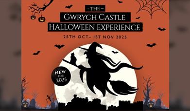 The Gwrych Castle Halloween Experience