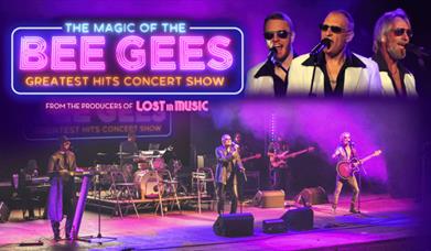 Magic of the Bee Gees