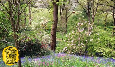 National Garden Scheme: Maenan Hall