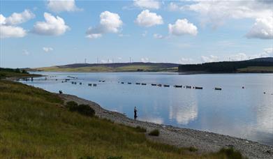 Dynion yn pysgota ar lan Llyn Brenig