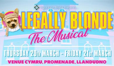 Ysgol John Bright yn cyflwyno Legally Blonde yn Venue Cymru