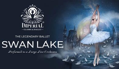 Swan Lake at Venue Cymru