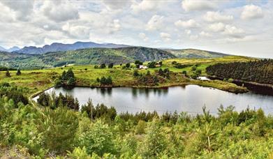 Llyn Glangors gyda golygfa o Barc Coedwig Gwydir