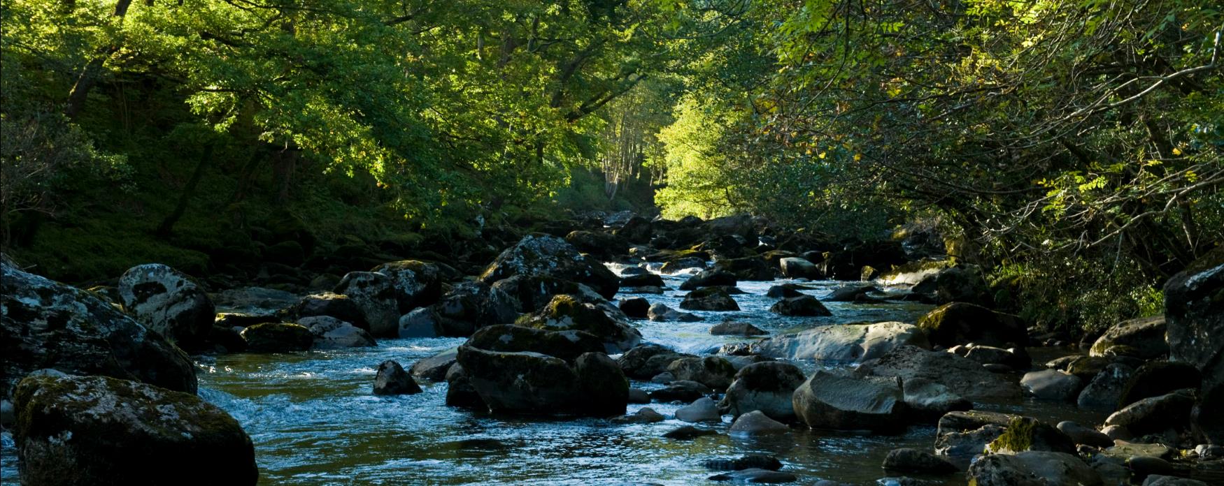 Betws Y Coed Visit Conwy