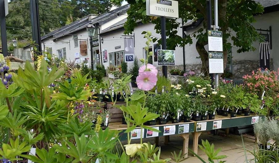 Bodnant Plant, Gift & Craft Centre