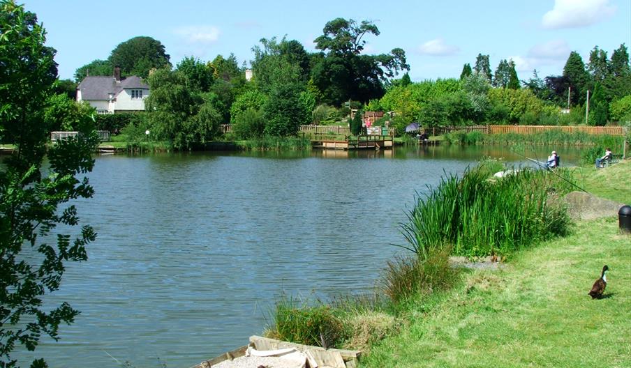 Fishing lake at Conwy Water Gardens