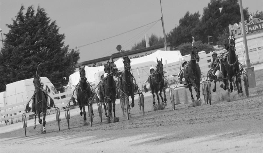 Harness racing at Tir Prince