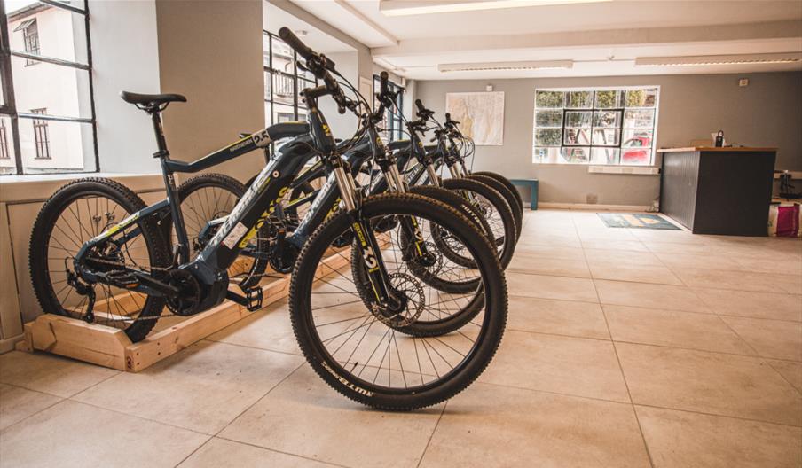 Row of bikes in the store