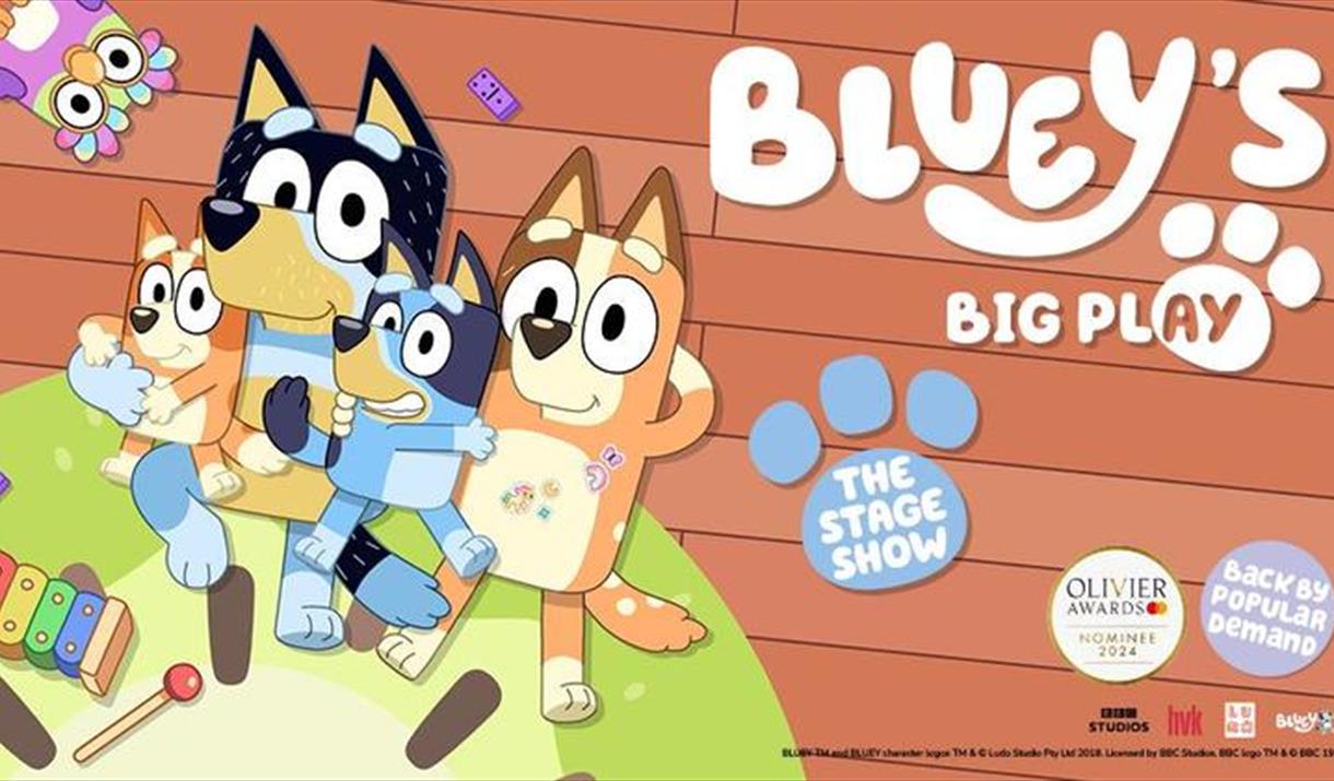 Bluey's Big Play