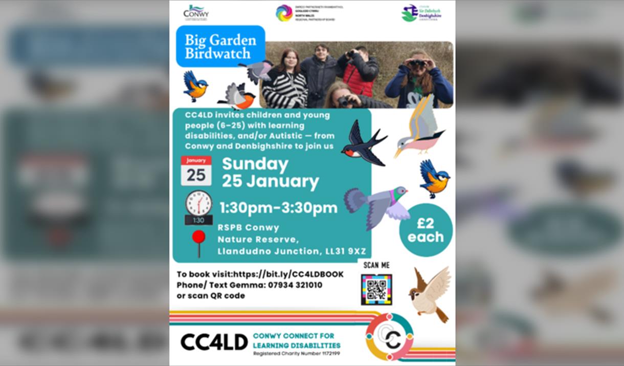 Big Garden Birdwatching at RSPB Conwy with CC4LD
