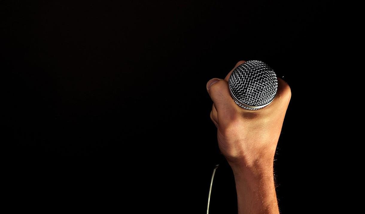 Hand holding a microphone