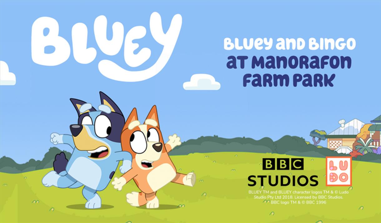 Bluey & Bingo