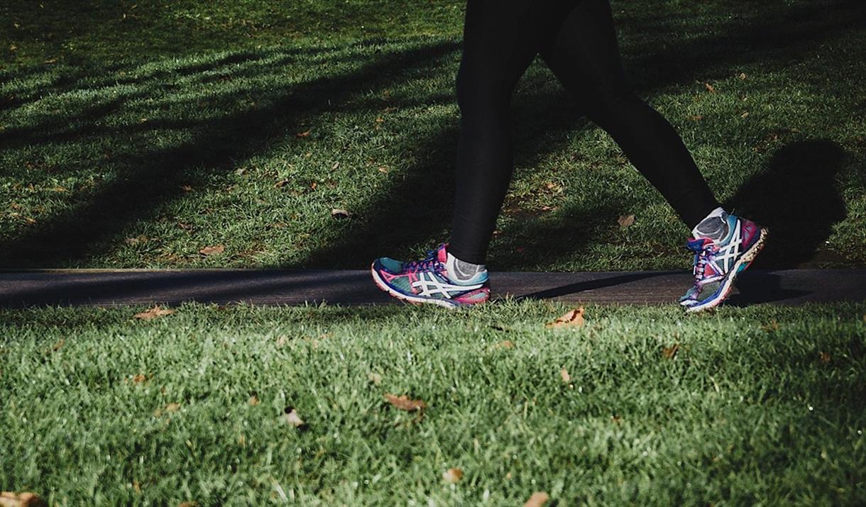 Person walking through a park