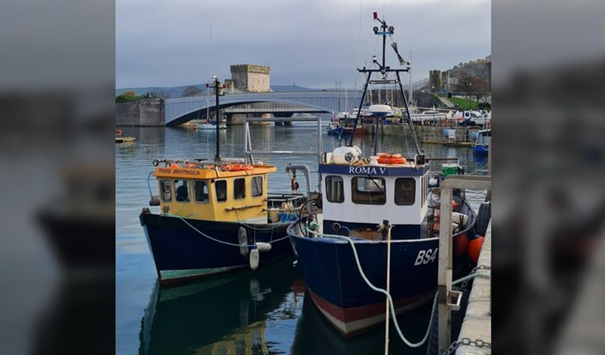 Guided Tour of Conwy Town