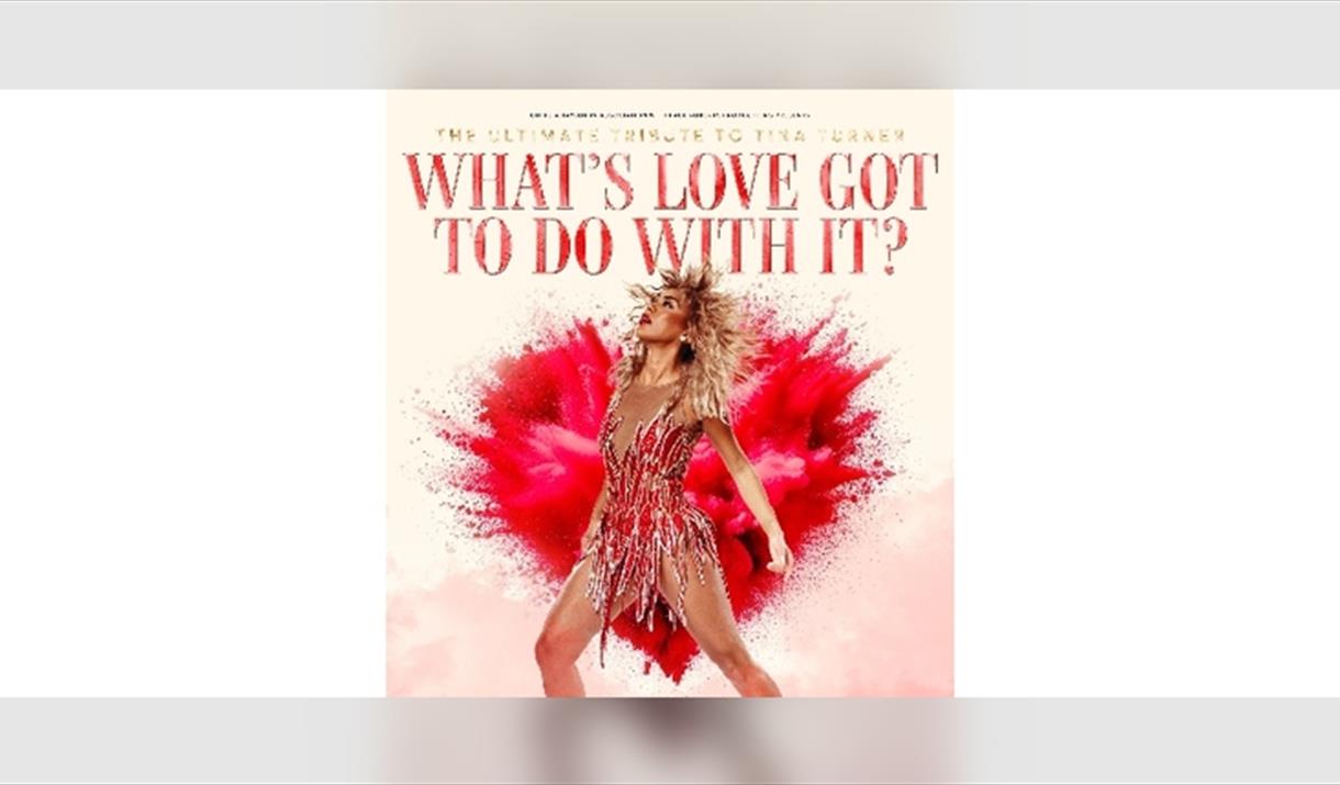 What's Love Got To Do With It?