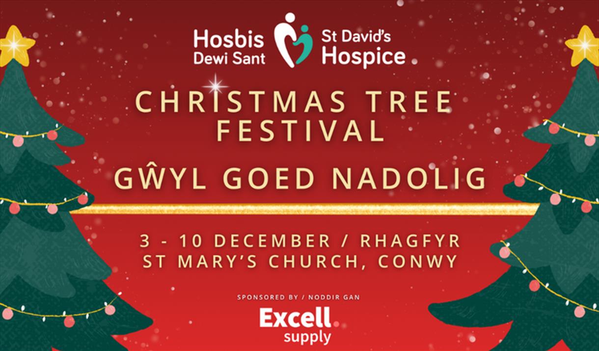 St David's Hospice Christmas Tree Festival