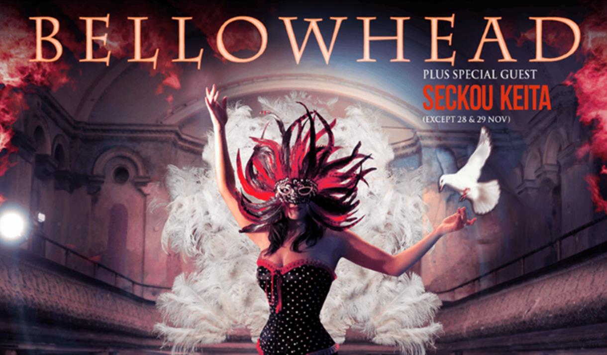 Bellowhead plus support