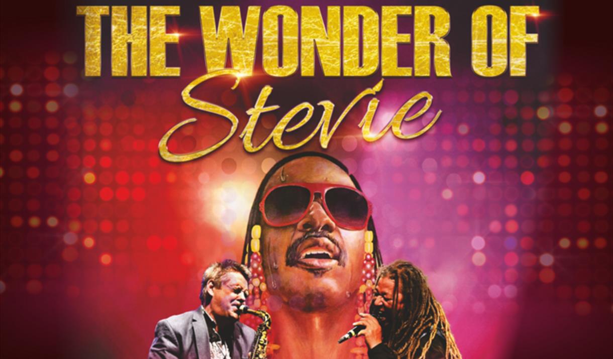 The Wonder of Stevie