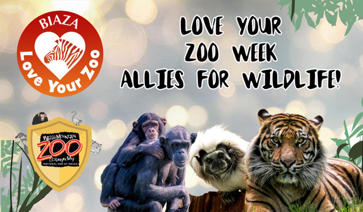Love Your Zoo Week: Allies for Wildlife