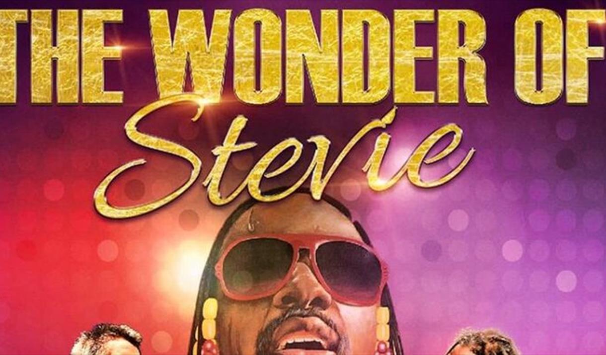 The Wonder of Stevie