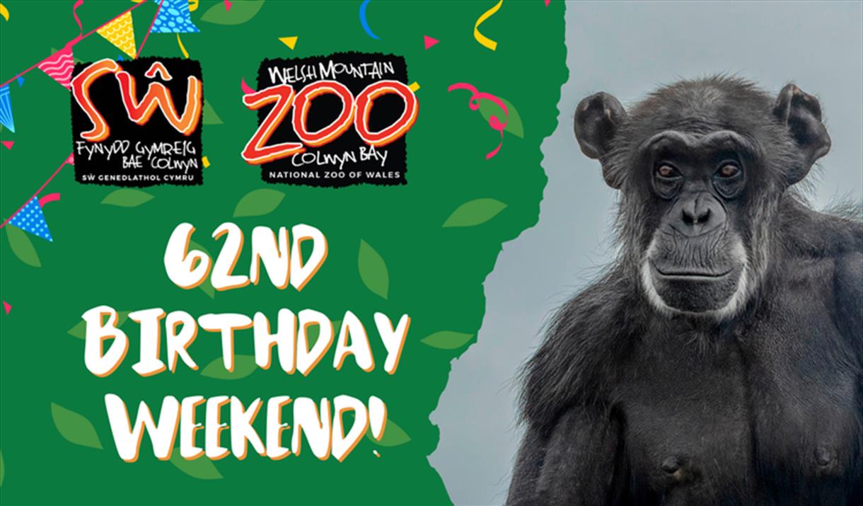 Welsh Mountain Zoo 62nd Birthday Weekend