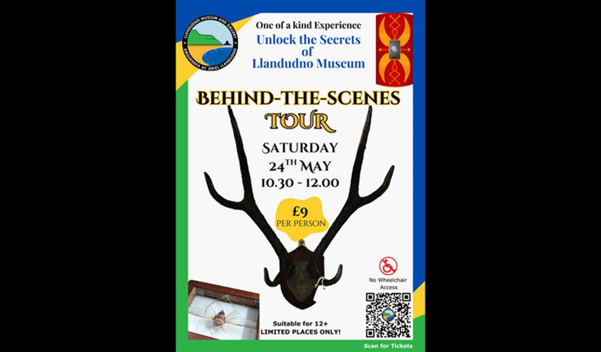 Behind-The-Scenes Tour