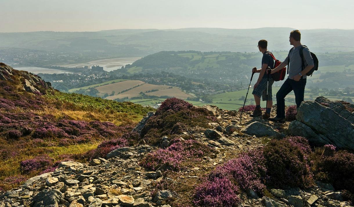 Walking on Conwy Mountain, looking towards the town of Conwy