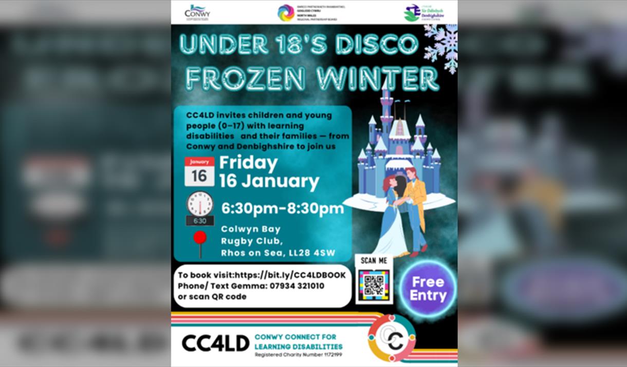 Under 18's Disco - Frozen Winter