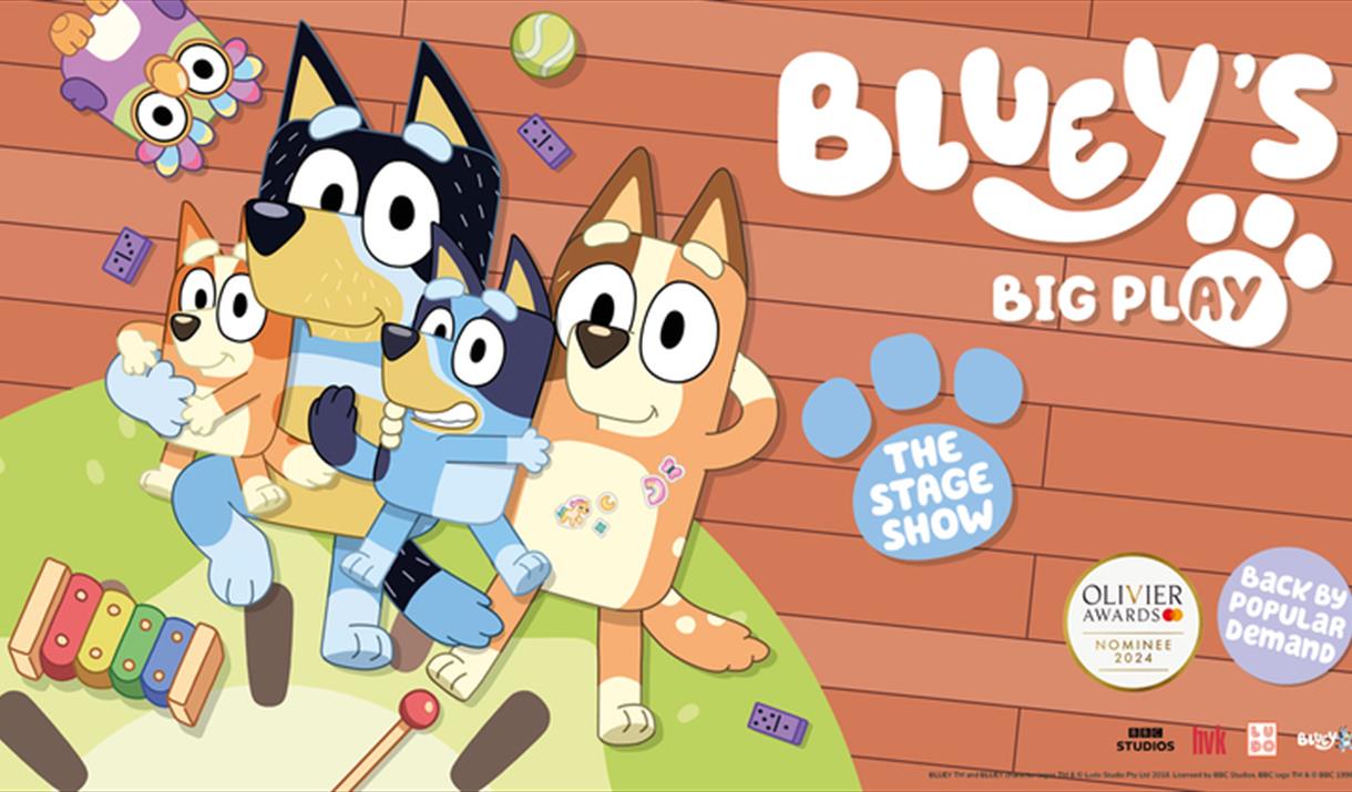 Bluey's Big Play