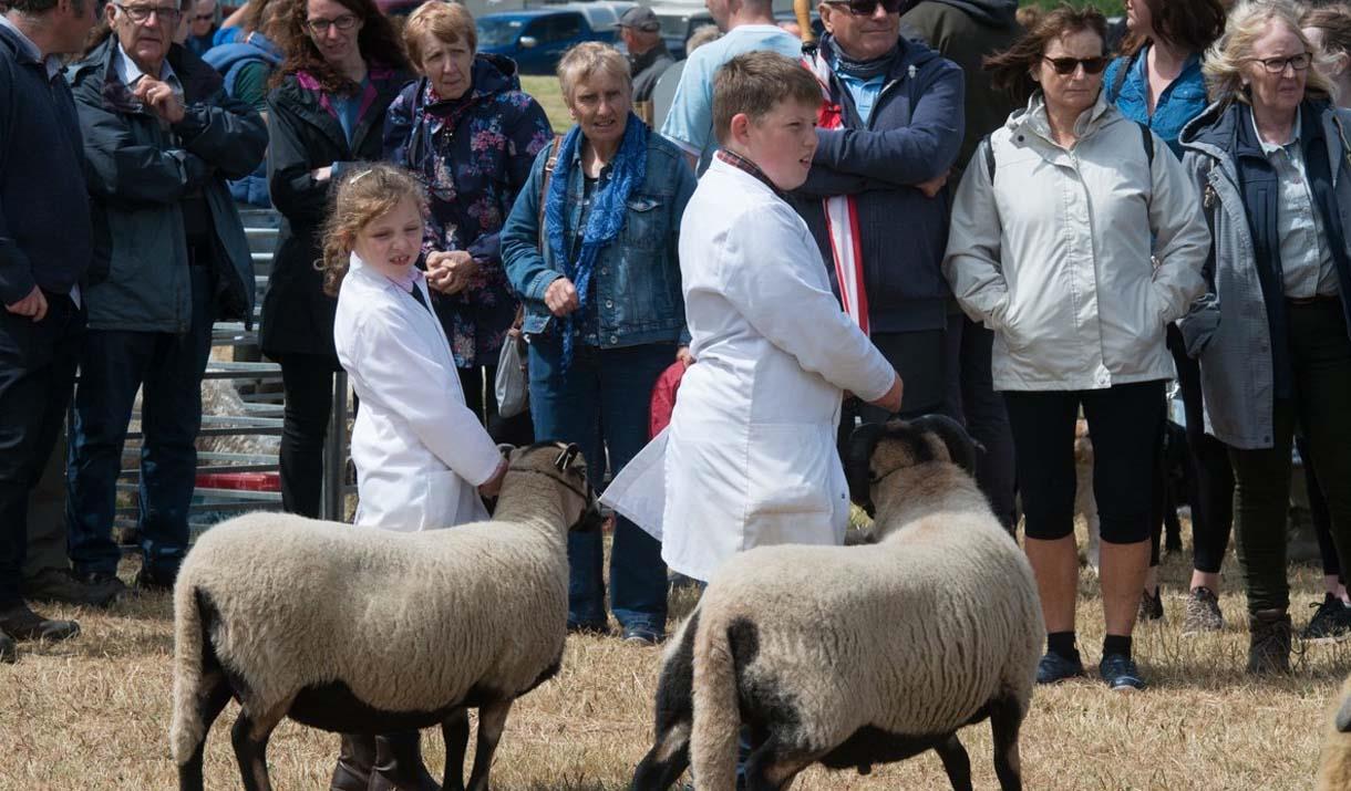 Llanrwst Rural Show