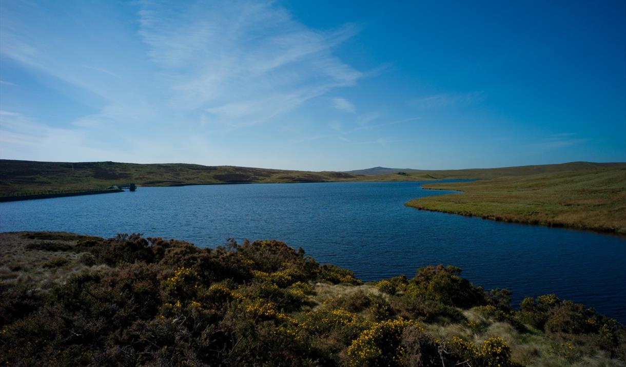 Llyn Aled coarse fishing lake