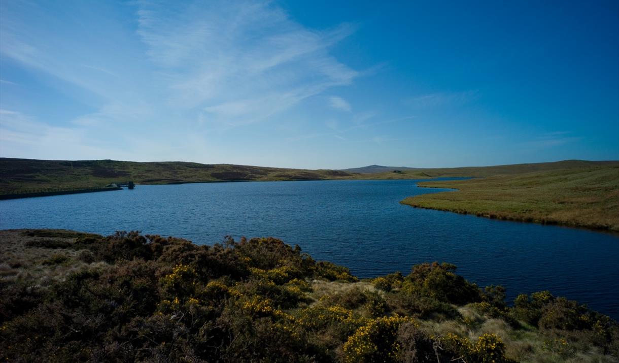 Pysgota bras yn Llyn Aled