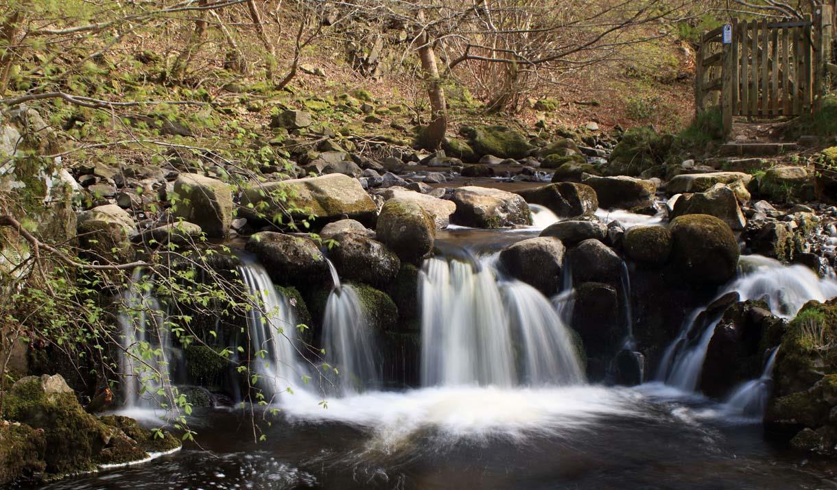 Nant y Coed Local Nature Reserve