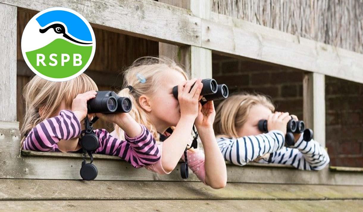 Young Birder Walk at RSPB Conwy