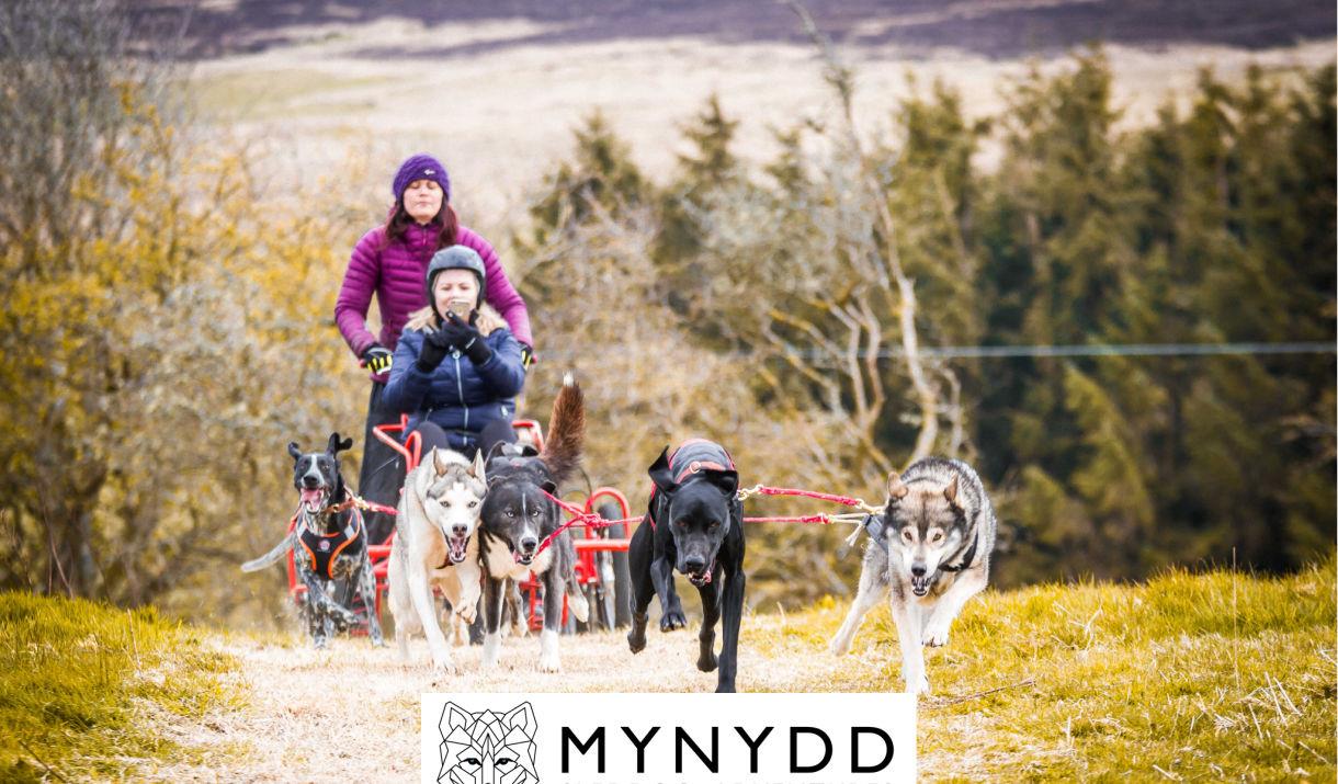 Cŵn a throl Mynydd Sleddog gyda ddynes a hogyn