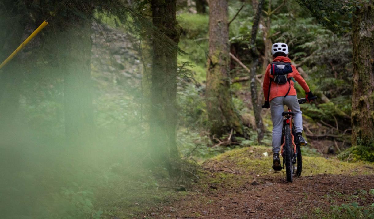 Cyclist in the woods