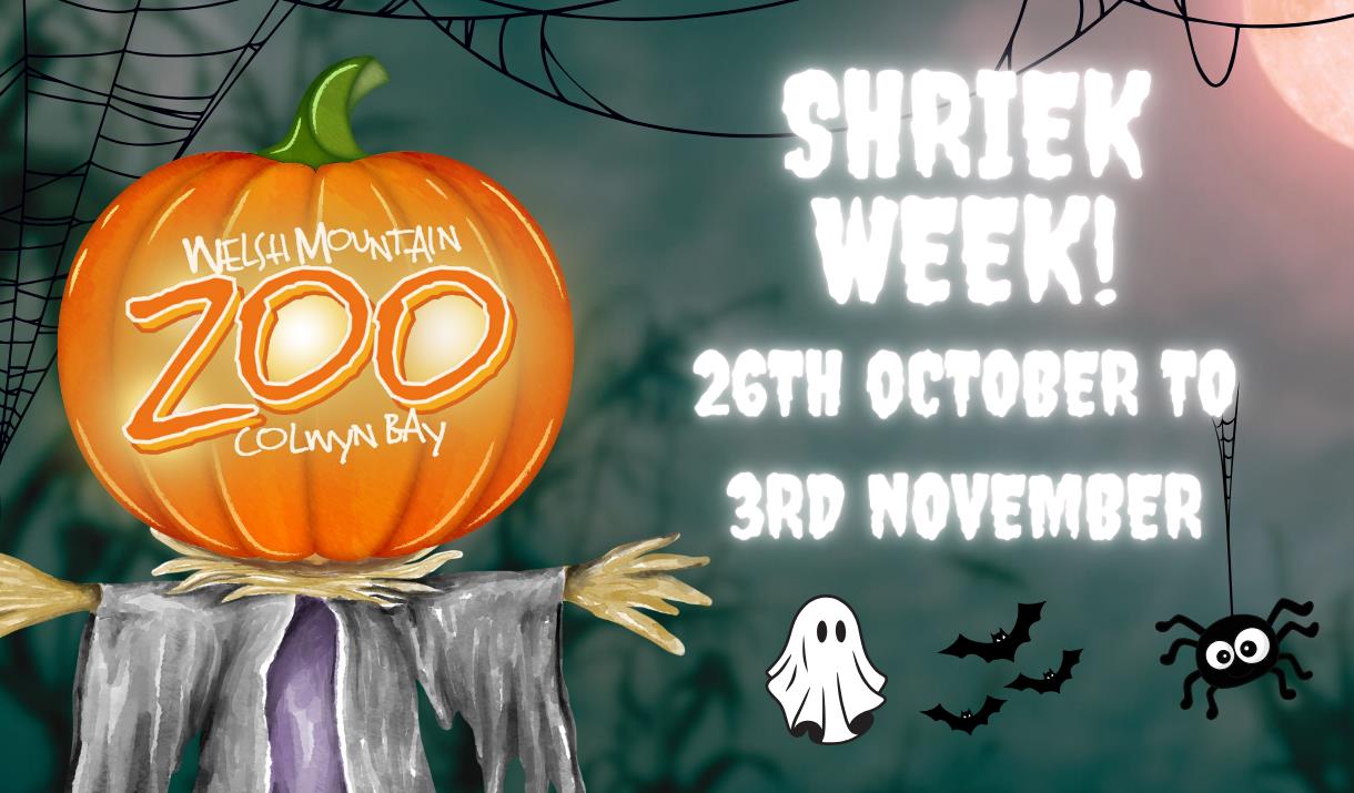 Shriek Week 2024 at the Welsh Mountain Zoo Visit Conwy