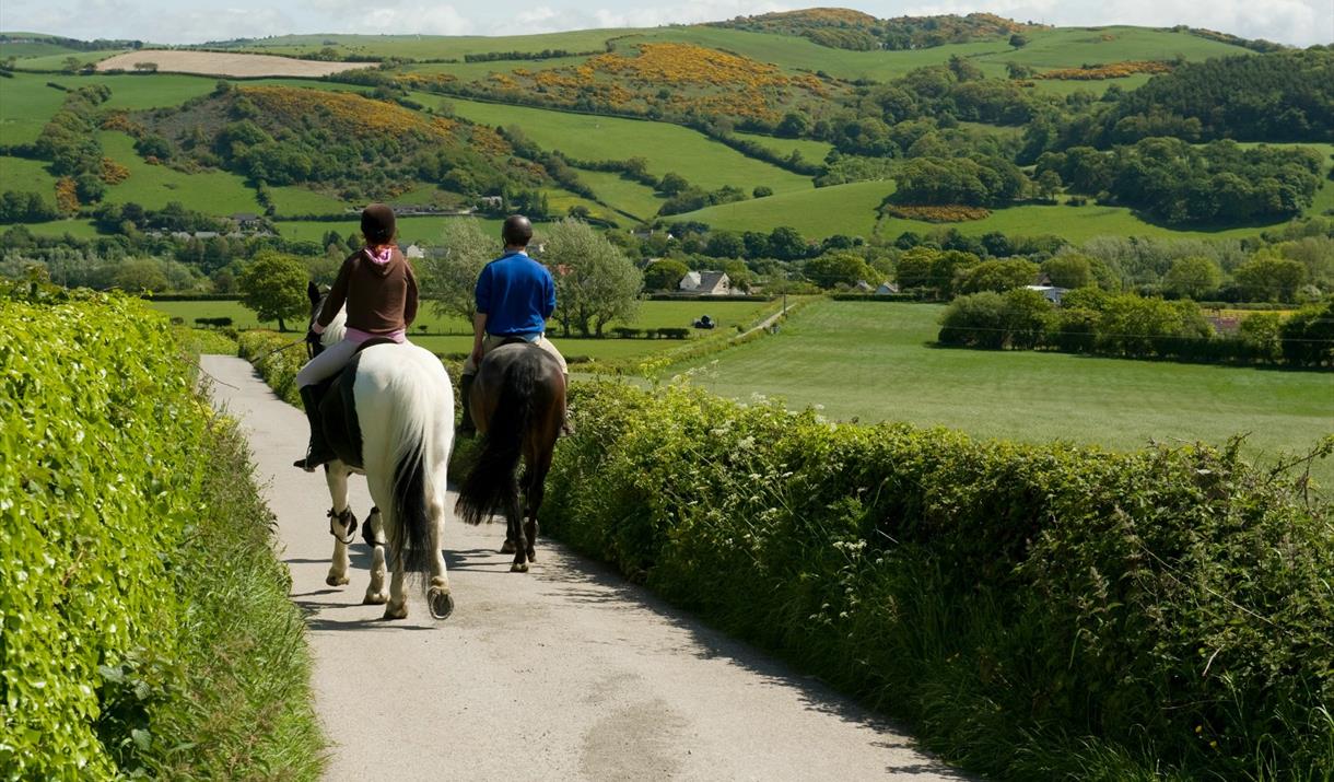 Two people riding horses on country lane